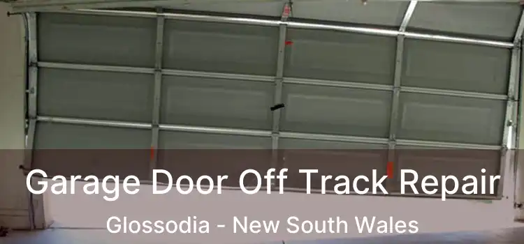 Garage Door Off Track Repair Glossodia - New South Wales
