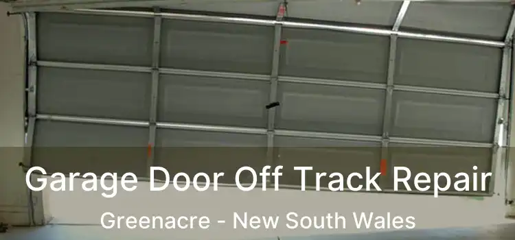 Garage Door Off Track Repair Greenacre - New South Wales