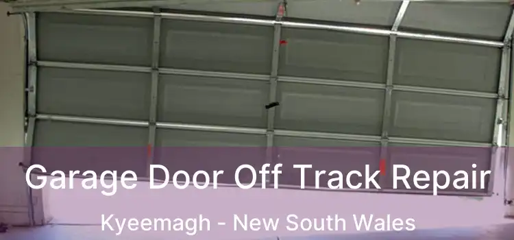 Garage Door Off Track Repair Kyeemagh - New South Wales