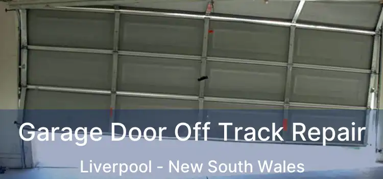 Garage Door Off Track Repair Liverpool - New South Wales