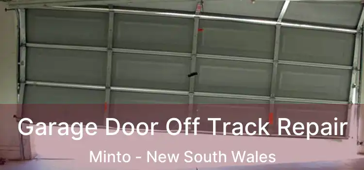 Garage Door Off Track Repair Minto - New South Wales