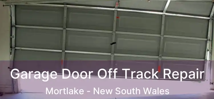 Garage Door Off Track Repair Mortlake - New South Wales