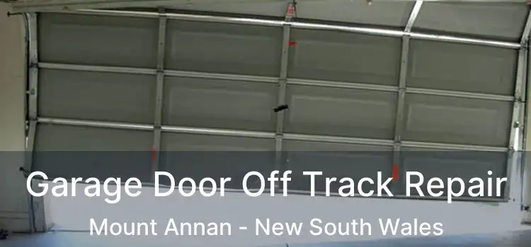 Garage Door Off Track Repair Mount Annan - New South Wales