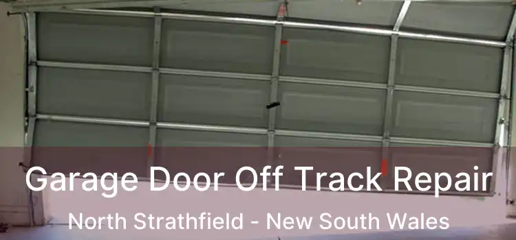 Garage Door Off Track Repair North Strathfield - New South Wales