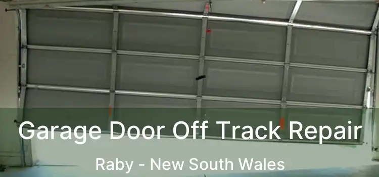 Garage Door Off Track Repair Raby - New South Wales