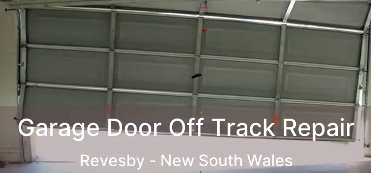 Garage Door Off Track Repair Revesby - New South Wales