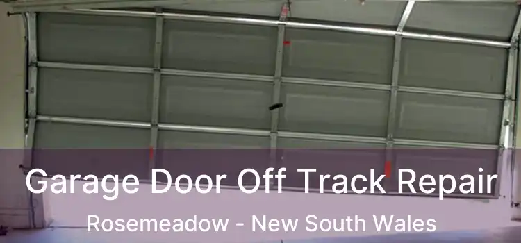 Garage Door Off Track Repair Rosemeadow - New South Wales