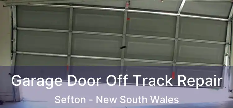 Garage Door Off Track Repair Sefton - New South Wales