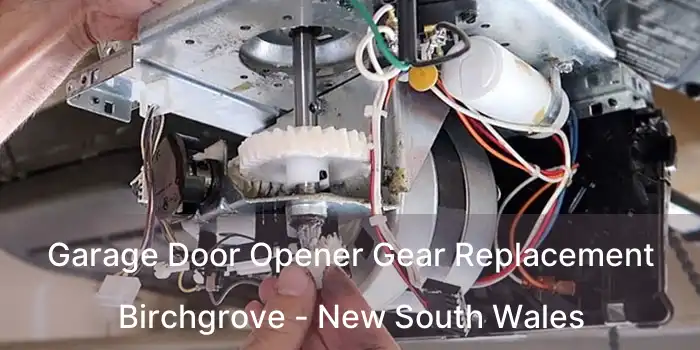 Garage Door Opener Gear Replacement Birchgrove - New South Wales
