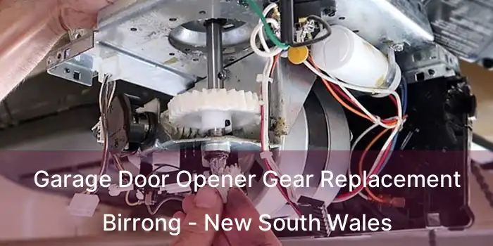 Garage Door Opener Gear Replacement Birrong - New South Wales