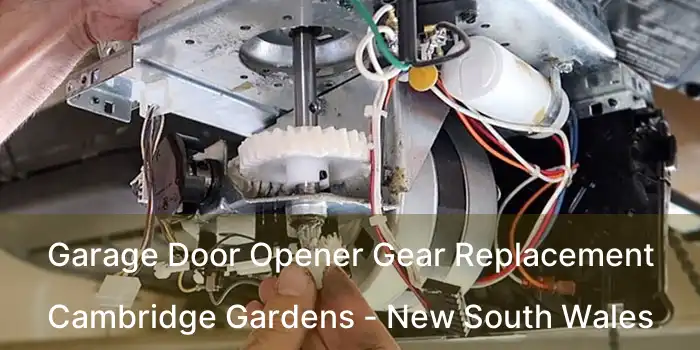 Garage Door Opener Gear Replacement Cambridge Gardens - New South Wales