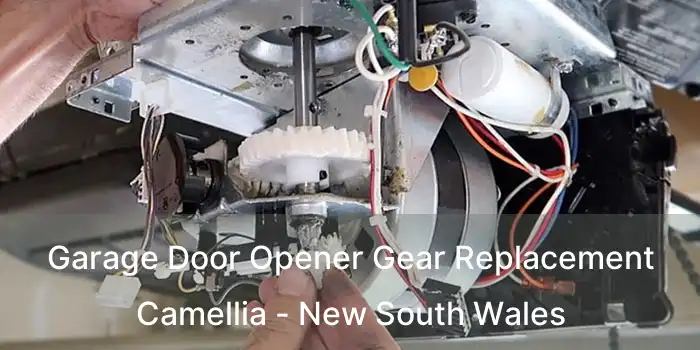 Garage Door Opener Gear Replacement Camellia - New South Wales