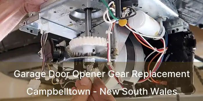 Garage Door Opener Gear Replacement Campbelltown - New South Wales