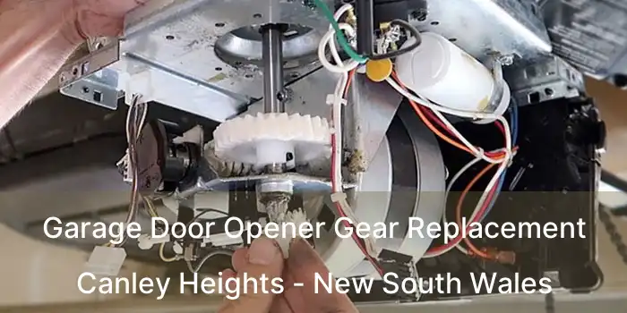 Garage Door Opener Gear Replacement Canley Heights - New South Wales
