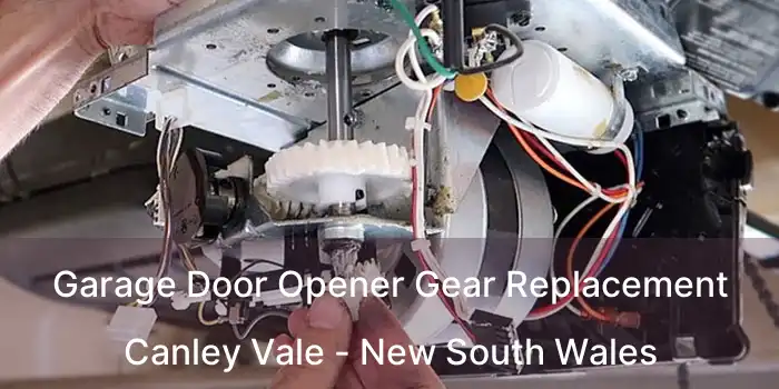 Garage Door Opener Gear Replacement Canley Vale - New South Wales