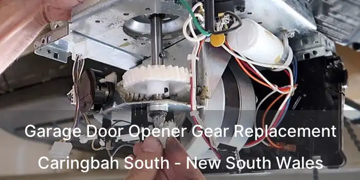 Garage Door Opener Gear Replacement Caringbah South - New South Wales