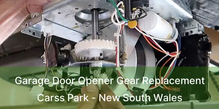 Garage Door Opener Gear Replacement Carss Park - New South Wales