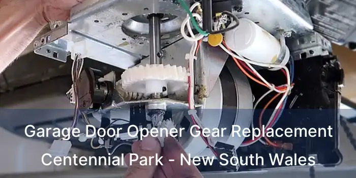 Garage Door Opener Gear Replacement Centennial Park - New South Wales