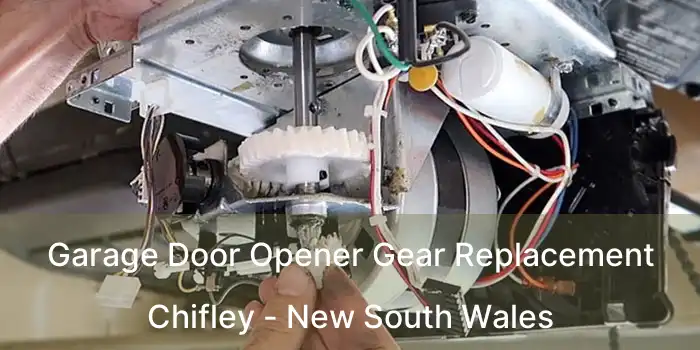 Garage Door Opener Gear Replacement Chifley - New South Wales