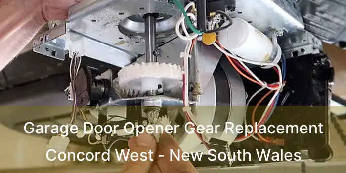 Garage Door Opener Gear Replacement Concord West - New South Wales