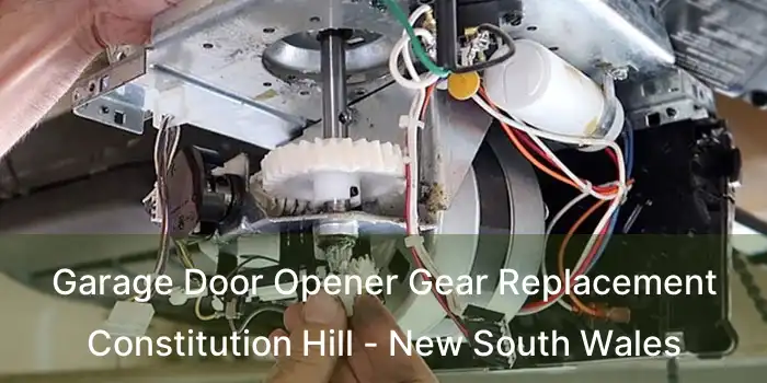 Garage Door Opener Gear Replacement Constitution Hill - New South Wales