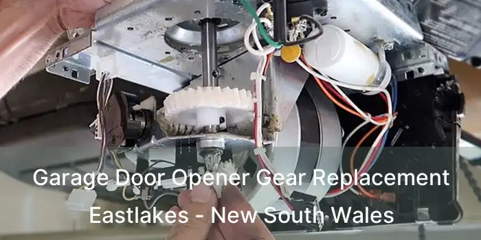 Garage Door Opener Gear Replacement Eastlakes - New South Wales