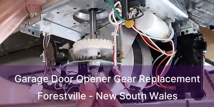 Garage Door Opener Gear Replacement Forestville - New South Wales