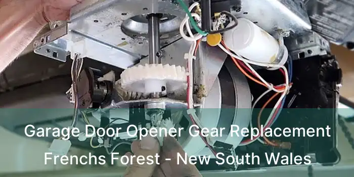 Garage Door Opener Gear Replacement Frenchs Forest - New South Wales
