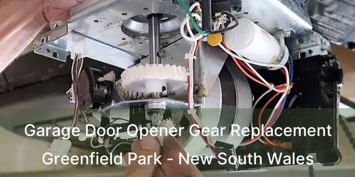 Garage Door Opener Gear Replacement Greenfield Park - New South Wales
