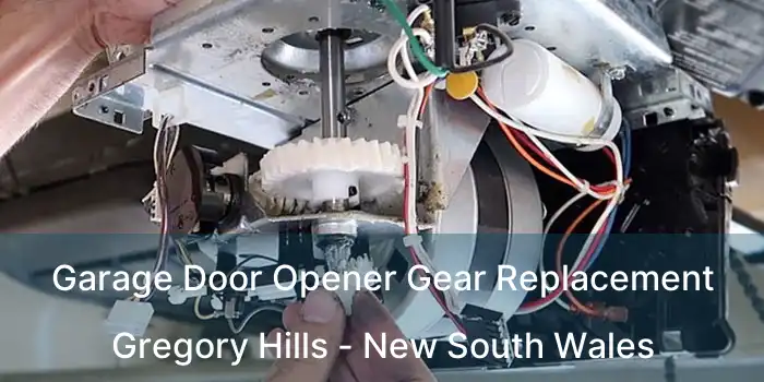 Garage Door Opener Gear Replacement Gregory Hills - New South Wales