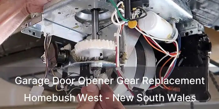 Garage Door Opener Gear Replacement Homebush West - New South Wales