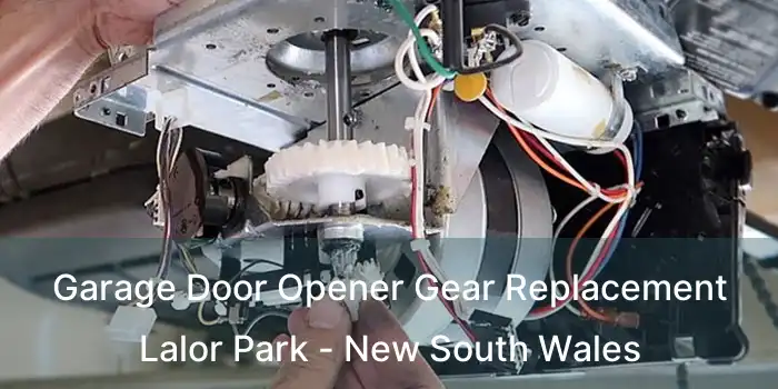 Garage Door Opener Gear Replacement Lalor Park - New South Wales