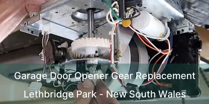 Garage Door Opener Gear Replacement Lethbridge Park - New South Wales