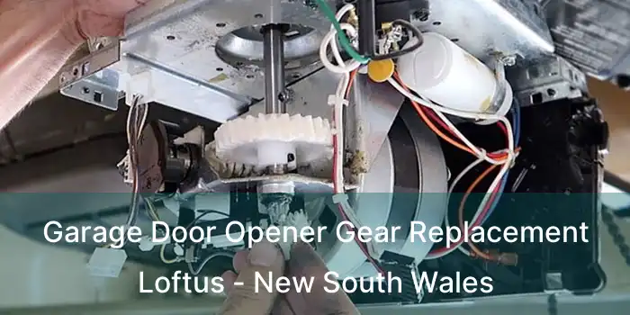 Garage Door Opener Gear Replacement Loftus - New South Wales
