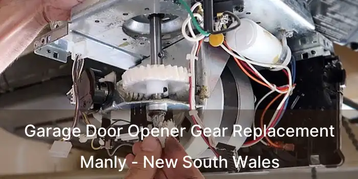Garage Door Opener Gear Replacement Manly - New South Wales