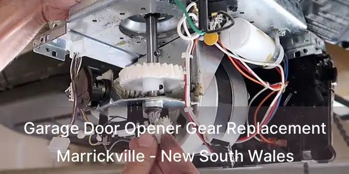 Garage Door Opener Gear Replacement Marrickville - New South Wales