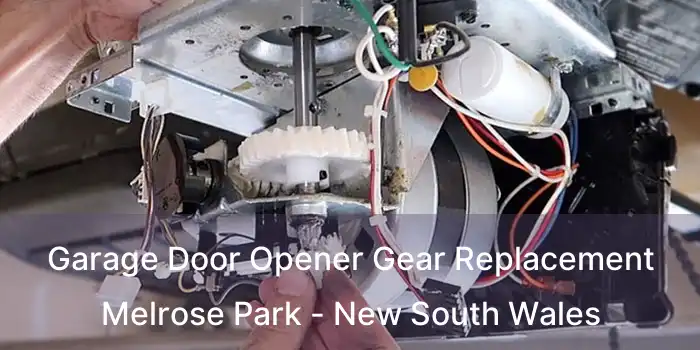 Garage Door Opener Gear Replacement Melrose Park - New South Wales