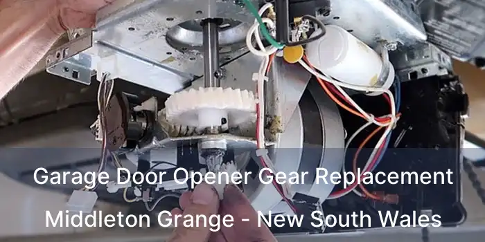 Garage Door Opener Gear Replacement Middleton Grange - New South Wales