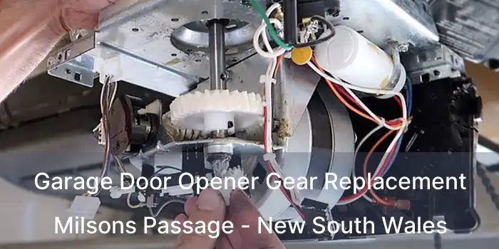 Garage Door Opener Gear Replacement Milsons Passage - New South Wales