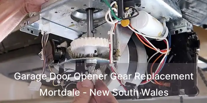 Garage Door Opener Gear Replacement Mortdale - New South Wales