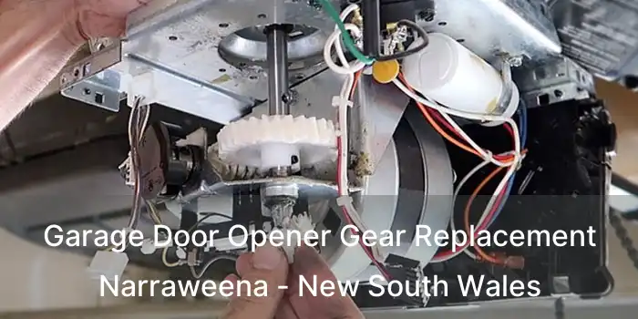 Garage Door Opener Gear Replacement Narraweena - New South Wales