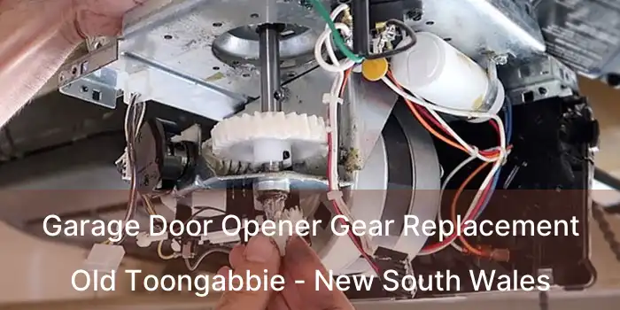 Garage Door Opener Gear Replacement Old Toongabbie - New South Wales