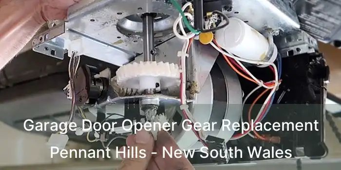Garage Door Opener Gear Replacement Pennant Hills - New South Wales