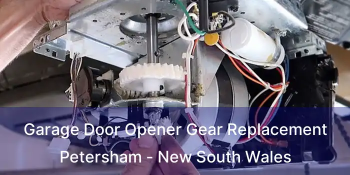 Garage Door Opener Gear Replacement Petersham - New South Wales