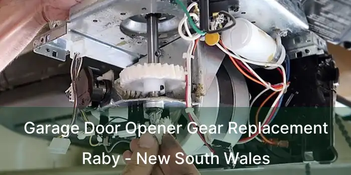 Garage Door Opener Gear Replacement Raby - New South Wales