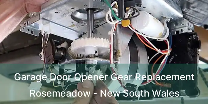 Garage Door Opener Gear Replacement Rosemeadow - New South Wales