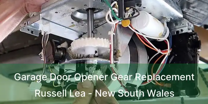 Garage Door Opener Gear Replacement Russell Lea - New South Wales