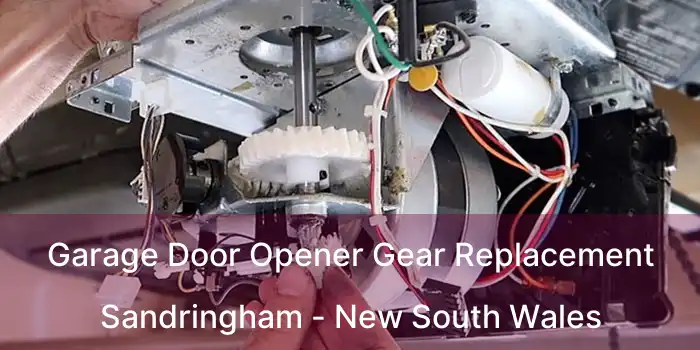Garage Door Opener Gear Replacement Sandringham - New South Wales