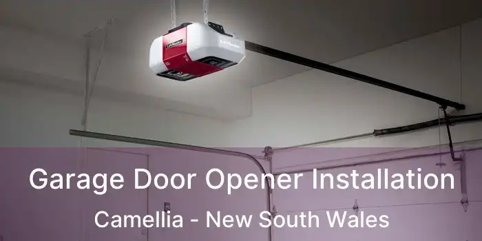 Garage Door Opener Installation Camellia - New South Wales