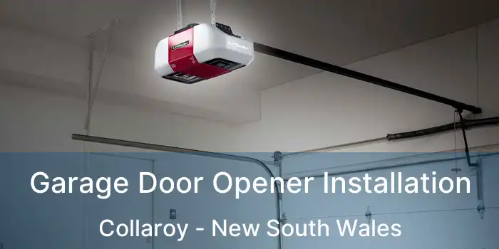 Garage Door Opener Installation Collaroy - New South Wales